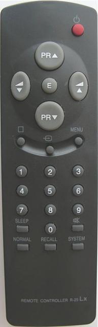 DAEWOO R25