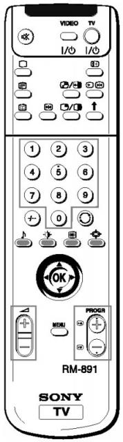 SONY RM891