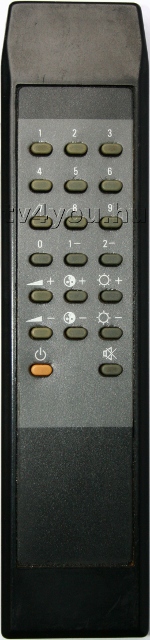 HCM 20T1