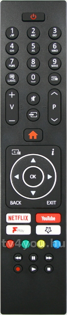 ORION RC43137P