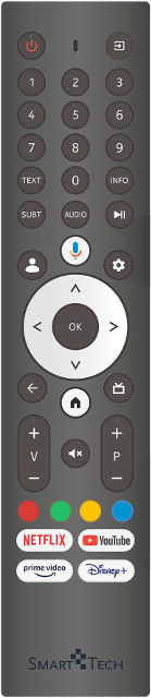 SMART-TECH Voice 43QG02V2